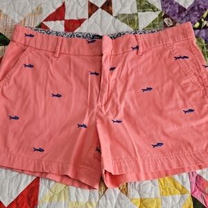 3/$18 Coral Shark Print Women's Shorts
